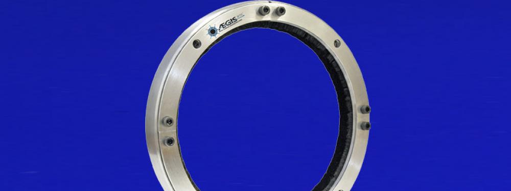 AEGIS® Shaft Grounding Ring for DC Motor